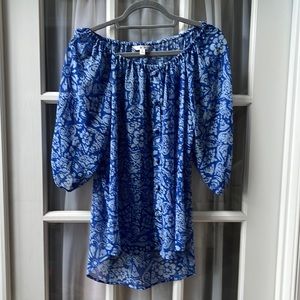 CABi long sleeve, sheer blouse